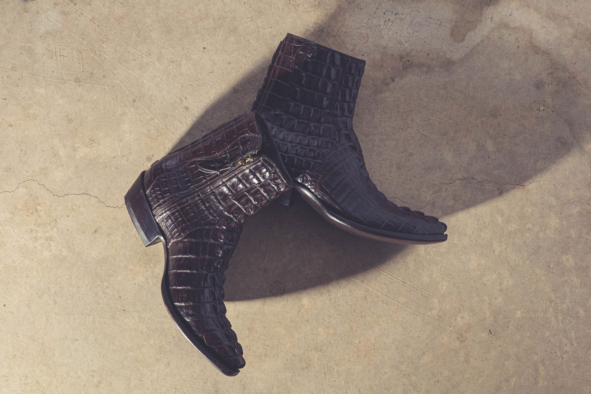 Chocolate Hornback Alligator Zorros