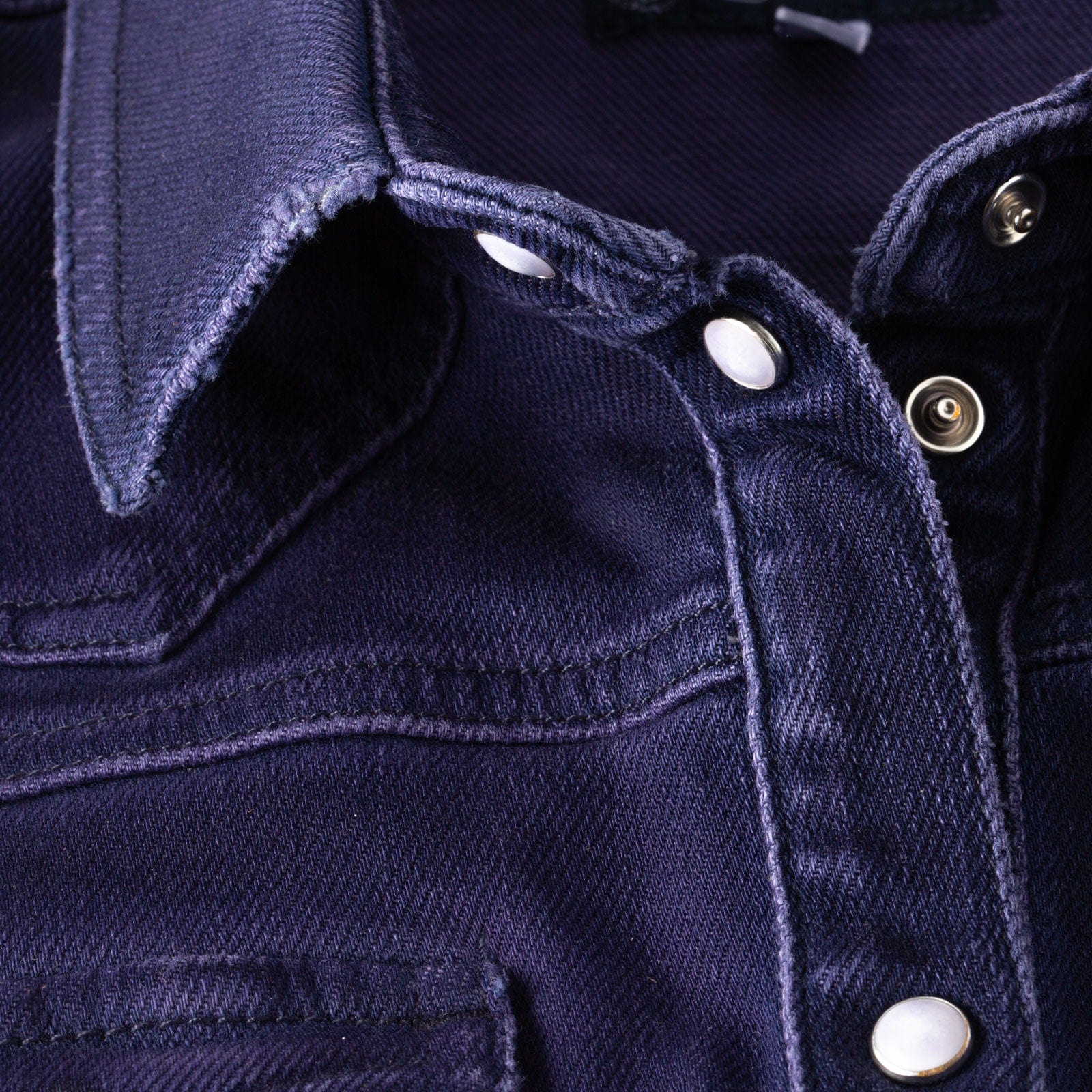 Maddi Fitted Western Snap Shirt In Blueberry - AXEL'S