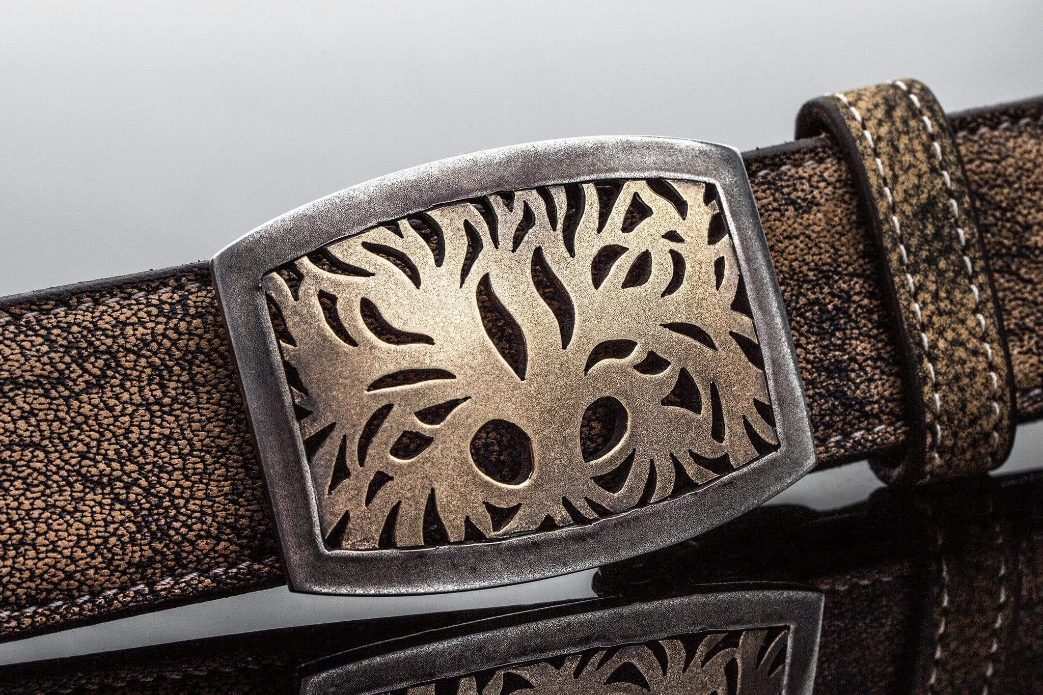 Preston Arborist - AXEL'S