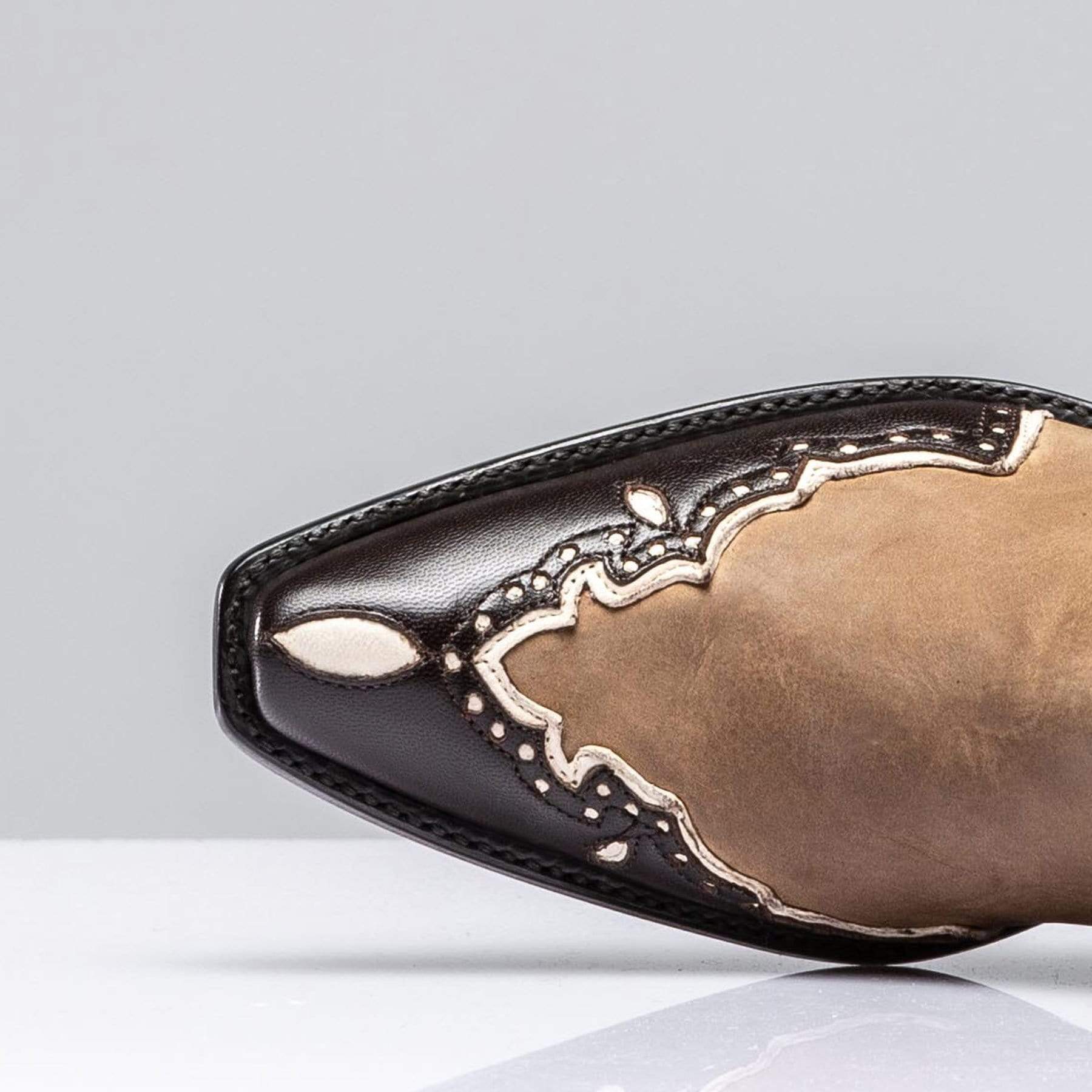 Mocha Gallegos Zorro - AXEL'S