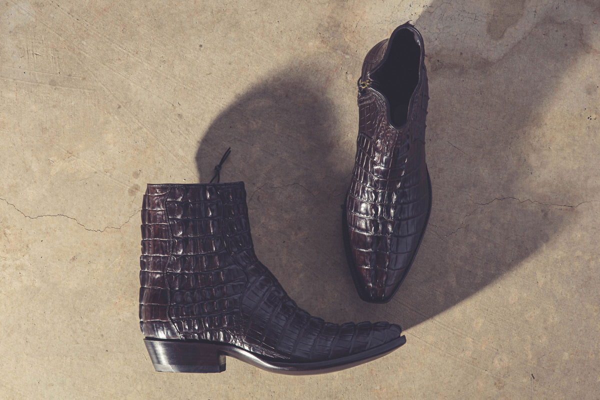 Chocolate Hornback Alligator Zorros