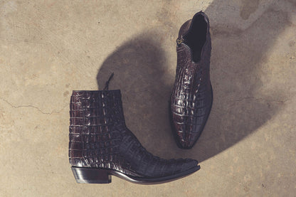Chocolate Hornback Alligator Zorros