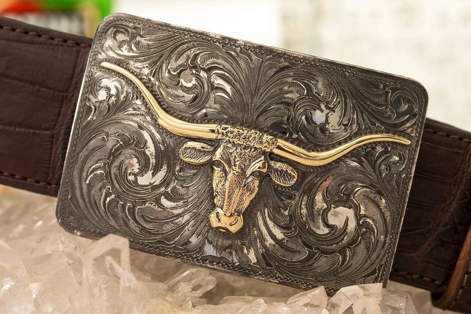Kerr County Longhorn - AXEL'S